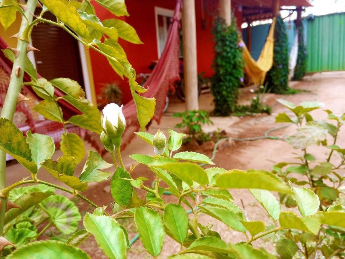 Villa Agape - Chapada Dos Veadeiros Alto Paraíso de Goiás Exterior photo